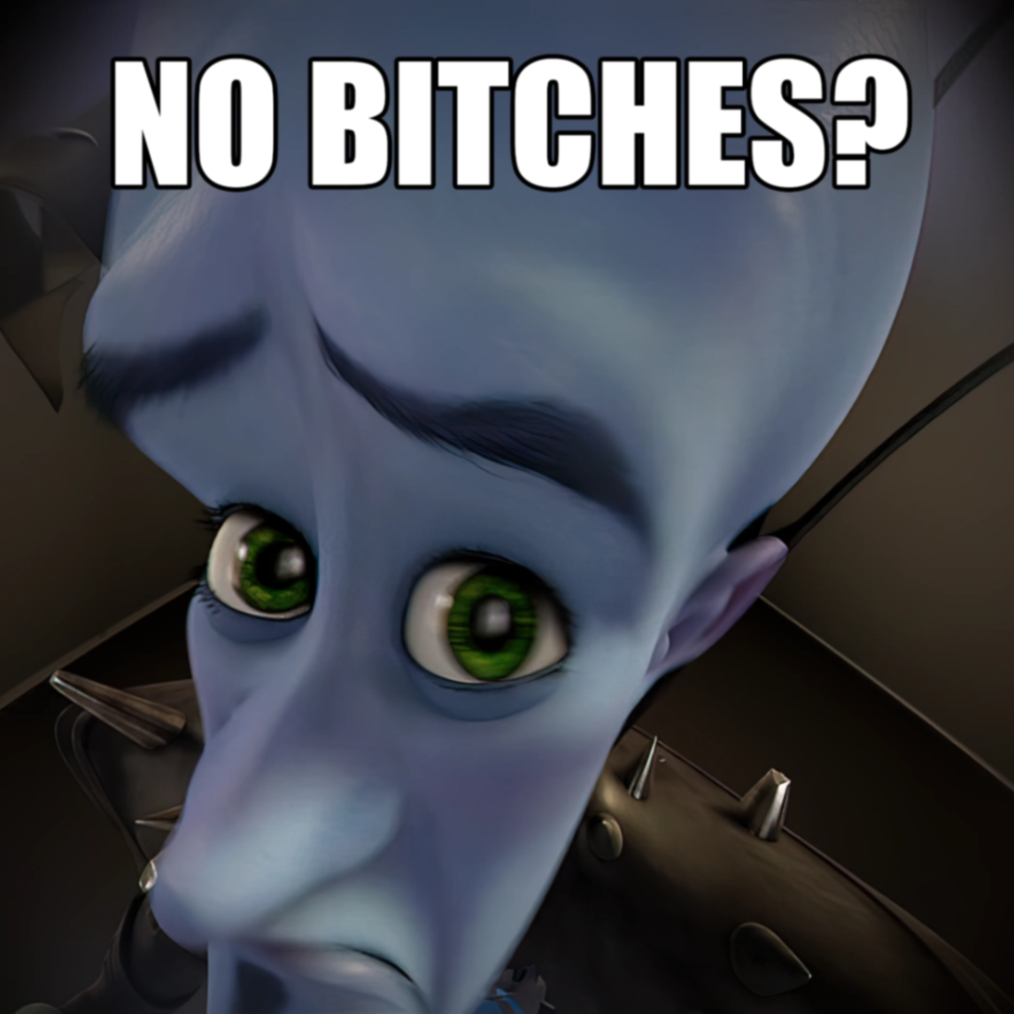 Megamind no bitches meme #megamind #nobitches #bitches